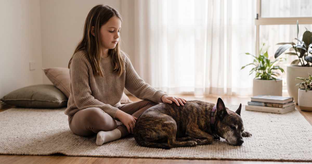 dogs for anxious students dogs for anxious students